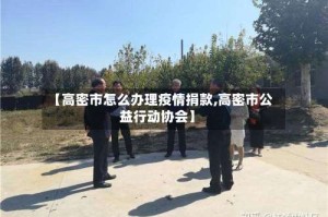 【高密市怎么办理疫情捐款,高密市公益行动协会】