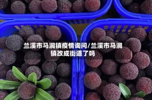 兰溪市马涧镇疫情询问/兰溪市马涧镇改成街道了吗