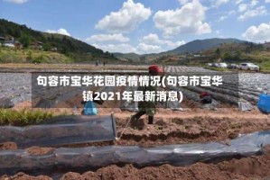 句容市宝华花园疫情情况(句容市宝华镇2021年最新消息)