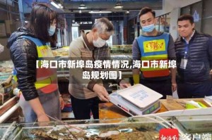 【海口市新埠岛疫情情况,海口市新埠岛规划图】