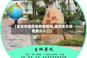 【肇庆市莲花镇有疫情吗,肇庆莲花镇有多少人口】