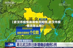 【武汉市疫情新增情况如何,武汉市疫情况怎么样】