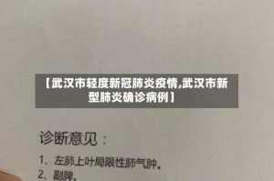 【武汉市轻度新冠肺炎疫情,武汉市新型肺炎确诊病例】