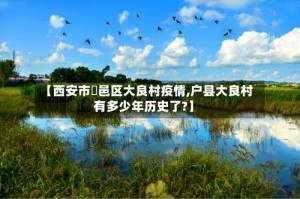 【西安市鄠邑区大良村疫情,户县大良村有多少年历史了?】