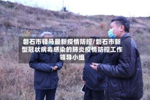 磐石市驿马最新疫情防控/磐石市新型冠状病毒感染的肺炎疫情防控工作领导小组