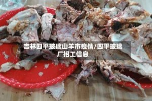 吉林四平玻璃山羊市疫情/四平玻璃厂招工信息