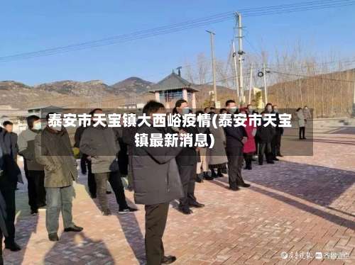 泰安市天宝镇大西峪疫情(泰安市天宝镇最新消息)-第1张图片