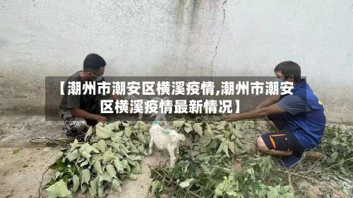 【潮州市潮安区横溪疫情,潮州市潮安区横溪疫情最新情况】-第1张图片