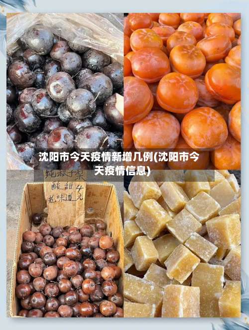 沈阳市今天疫情新增几例(沈阳市今天疫情信息)-第3张图片