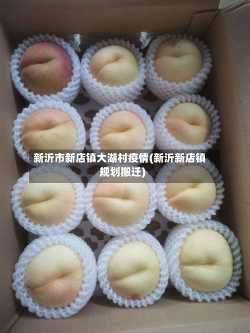 新沂市新店镇大湖村疫情(新沂新店镇规划搬迁)-第2张图片