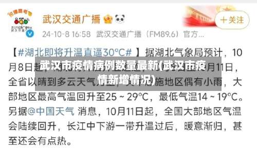 武汉市疫情病例数量最新(武汉市疫情新增情况)-第1张图片