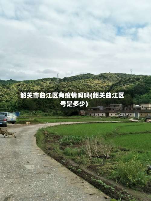 韶关市曲江区有疫情吗吗(韶关曲江区号是多少)-第2张图片