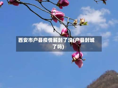 西安市户县疫情解封了没(户县封城了吗)-第1张图片