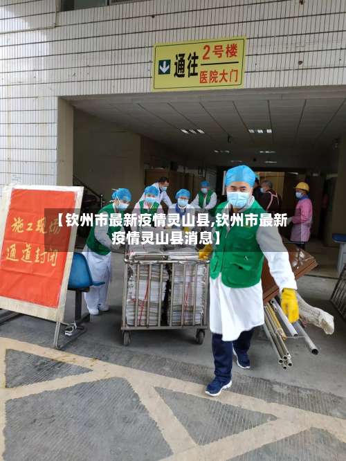 【钦州市最新疫情灵山县,钦州市最新疫情灵山县消息】-第1张图片