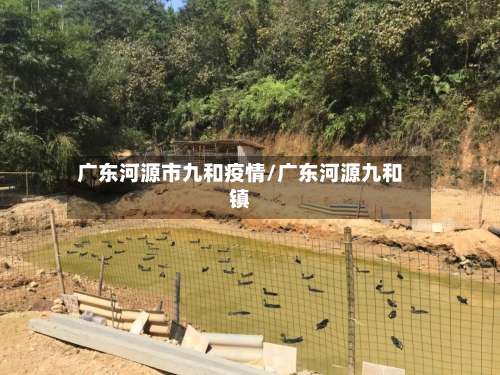 广东河源市九和疫情/广东河源九和镇-第1张图片