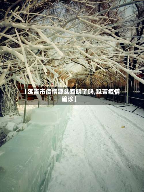 【延吉市疫情源头查明了吗,延吉疫情确诊】-第1张图片