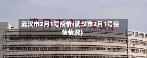 武汉市2月1号疫情(武汉市2月1号疫情情况)-第2张图片
